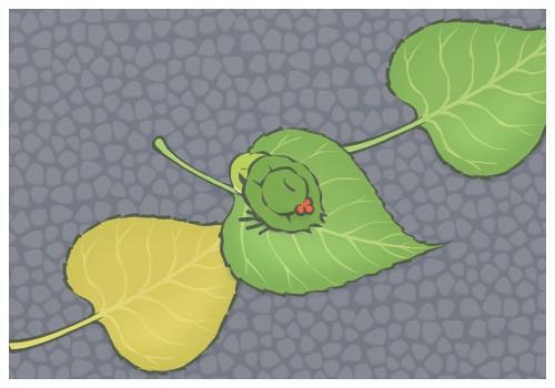 網(wǎng)友稱吃火鍋遇劇毒藍環(huán)章魚